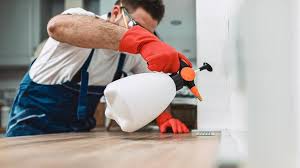 Best Pest Control for Multi-Family Homes  in Ortonville, MI